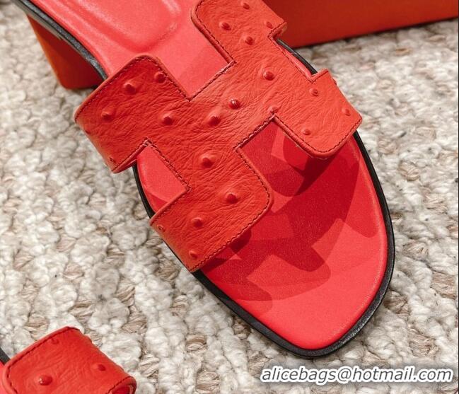 Best Grade Hermes Classic Flat Slide Sandals in Ostrich Embossed Leather Orange Red 525159