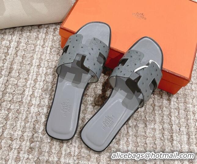 Good Quality Hermes Classic Flat Slide Sandals in Ostrich Embossed Leather Grey 525161