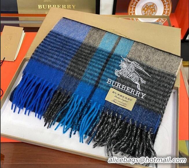 Famous Brand Burberry Cashmere Scarf 32x180cm 0104 Blue/Multicolor 2023