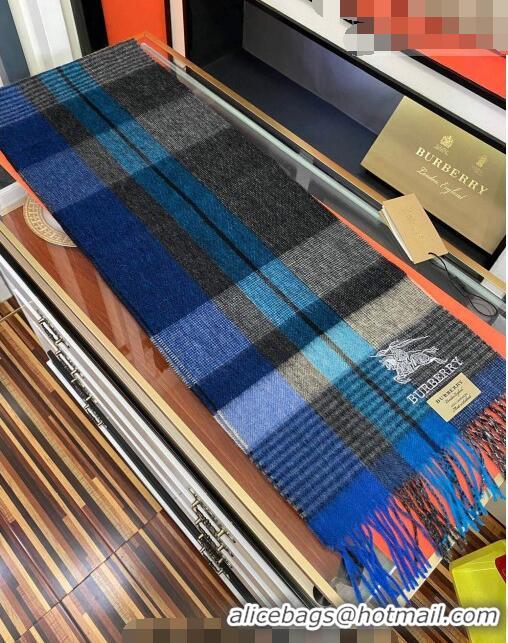 Famous Brand Burberry Cashmere Scarf 32x180cm 0104 Blue/Multicolor 2023