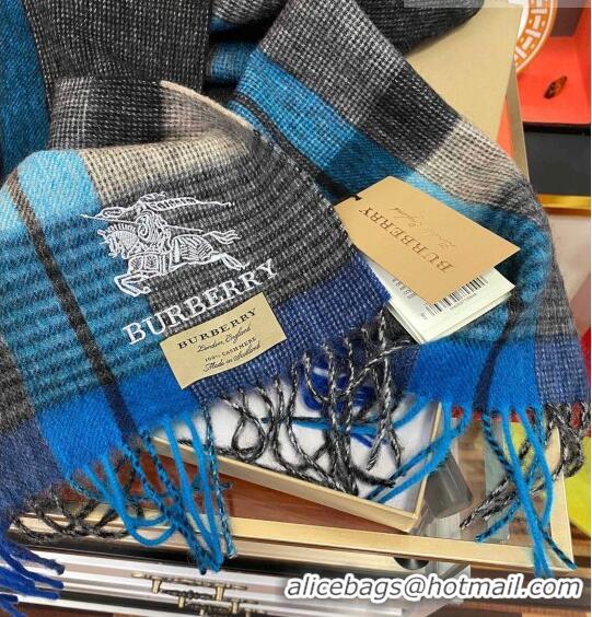 Famous Brand Burberry Cashmere Scarf 32x180cm 0104 Blue/Multicolor 2023