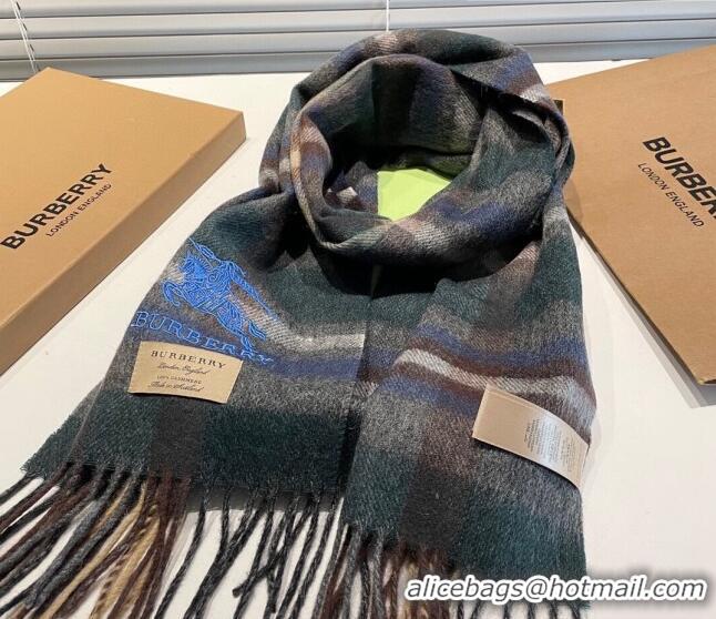 Promotional Burberry Cashmere Scarf 32x180cm 0104 Green/Multicolor 2023