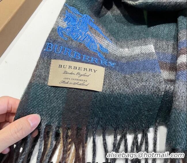 Promotional Burberry Cashmere Scarf 32x180cm 0104 Green/Multicolor 2023