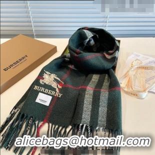 Top Quality Burberry Shiny Cashmere Scarf 32x180cm 0104 Green 2023