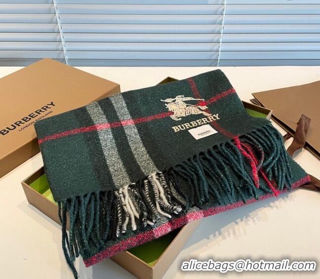 Top Quality Burberry Shiny Cashmere Scarf 32x180cm 0104 Green 2023