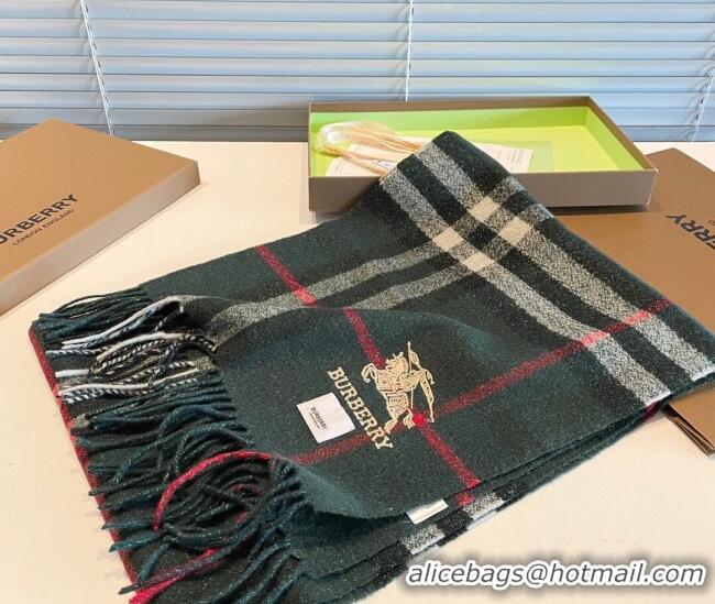 Top Quality Burberry Shiny Cashmere Scarf 32x180cm 0104 Green 2023