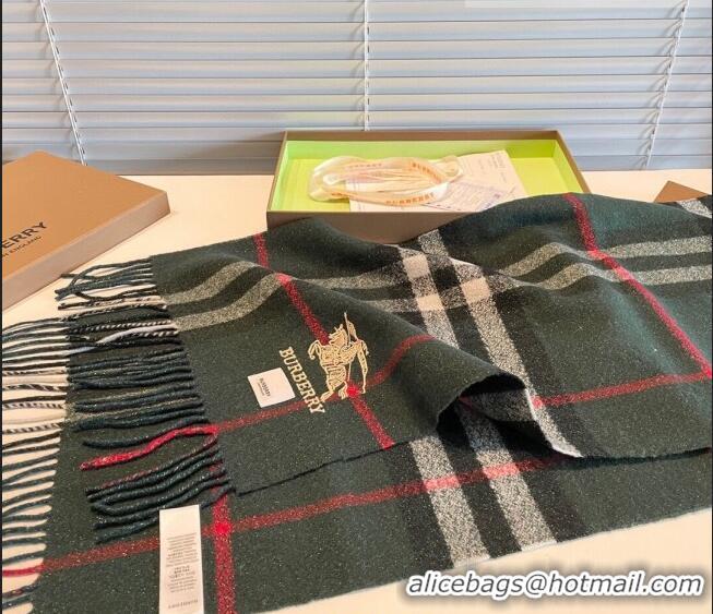 Top Quality Burberry Shiny Cashmere Scarf 32x180cm 0104 Green 2023