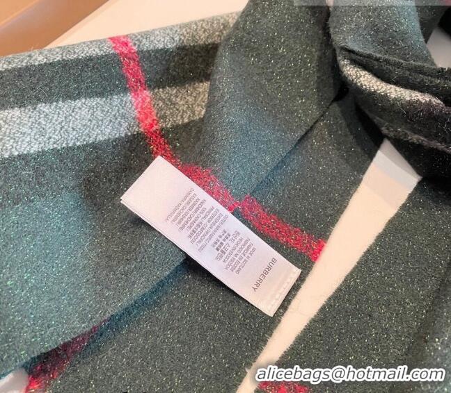 Top Quality Burberry Shiny Cashmere Scarf 32x180cm 0104 Green 2023