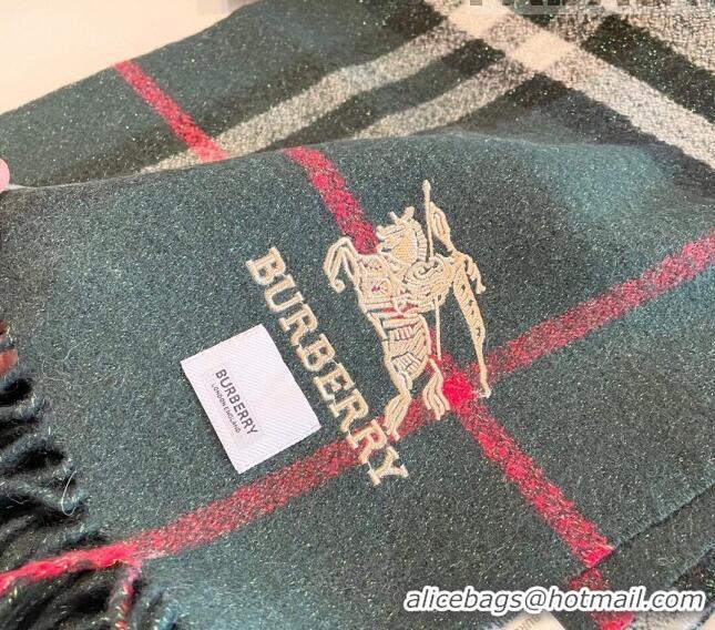 Top Quality Burberry Shiny Cashmere Scarf 32x180cm 0104 Green 2023