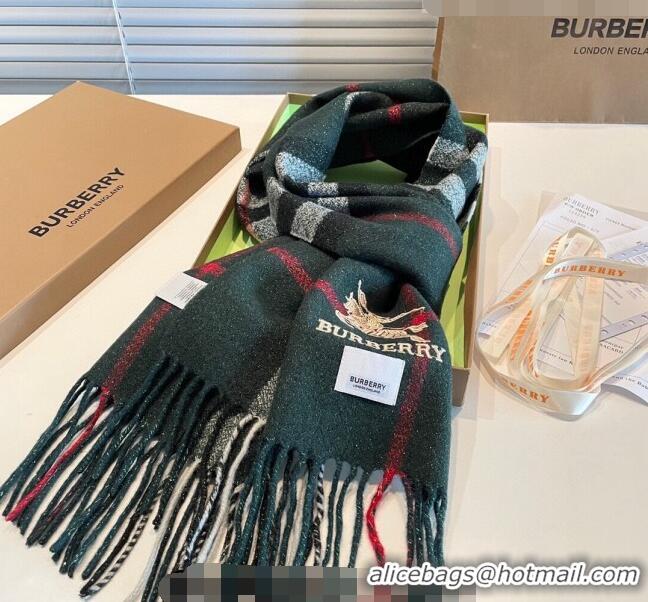 Top Quality Burberry Shiny Cashmere Scarf 32x180cm 0104 Green 2023