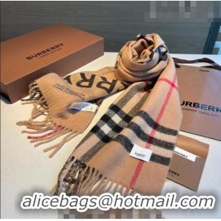 Top Grade Burberry Logo Reversible Long Scarf 30x168cm 0815 2023