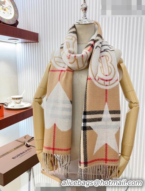 Top Quality Burberry Check Wool Cashmere Reversible Long Scarf 200x40cm B8811 2023