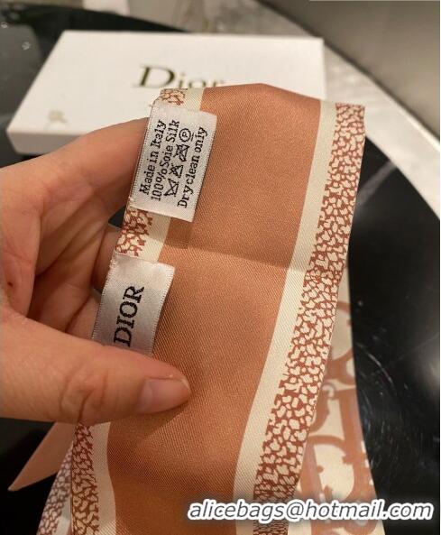 Good Looking Dior Silk Bandeau 5x106 cm DB22010327 Beige