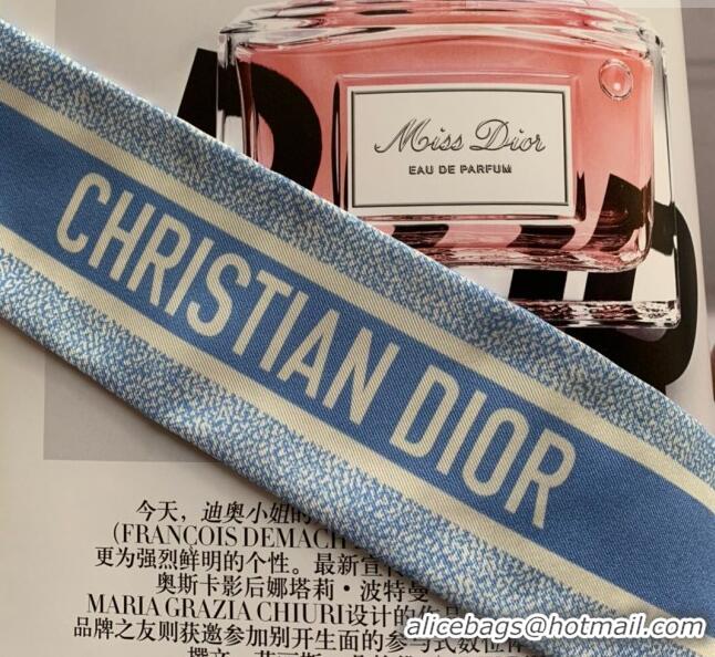 Low Cost Dior Oblique Silk Bandeau Scarf 6x100cm 033081 Light Blue