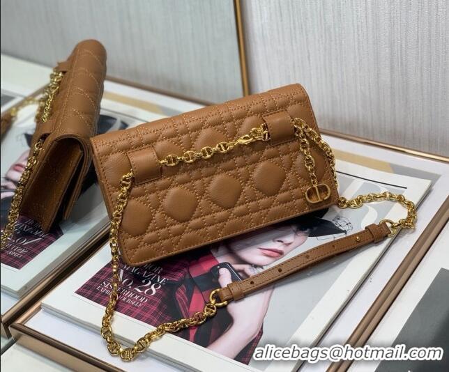 Shop Low Cost Dior Caro Chain Belt Bag D08241 Brown 2023