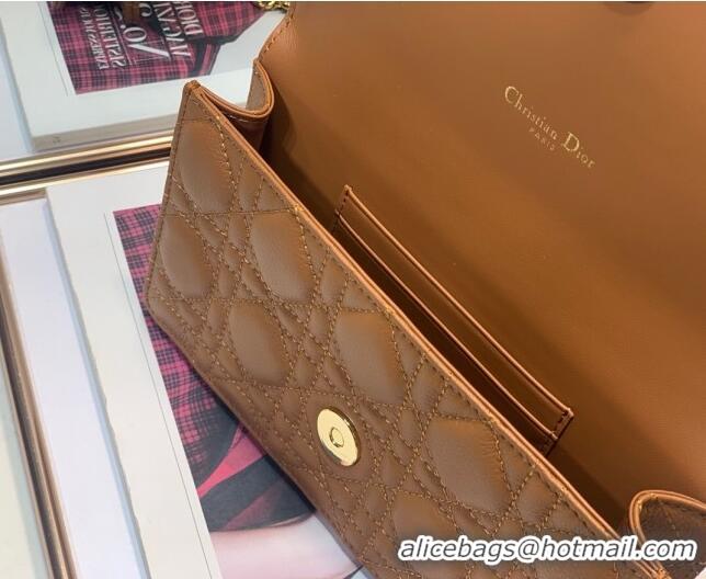 Shop Low Cost Dior Caro Chain Belt Bag D08241 Brown 2023