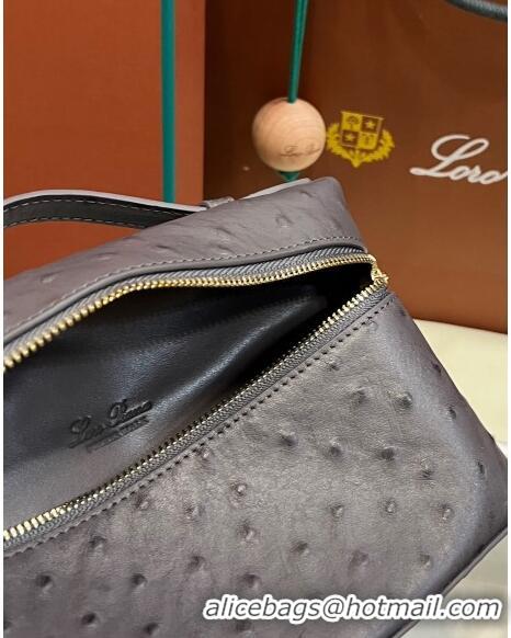 Good Product Loro Piana Extra Pocket L19 Pouch in Ostrich Pattern Calfskin LP5435 Grey/Gold 2023