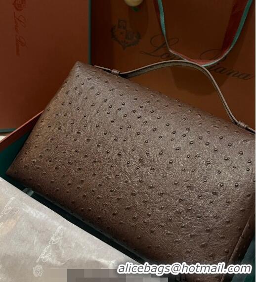 Good Looking Loro Piana Extra Pocket Pouch L27 in Ostrich Pattern Leather LP5446 Dark Brown/Gold 2023