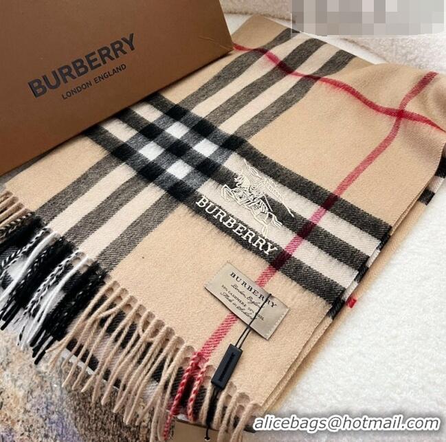 Inexpensive Burberry Classic Check Long Scarf 30x180cm BU2010 2023