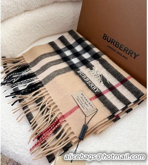 Inexpensive Burberry Classic Check Long Scarf 30x180cm BU2010 2023