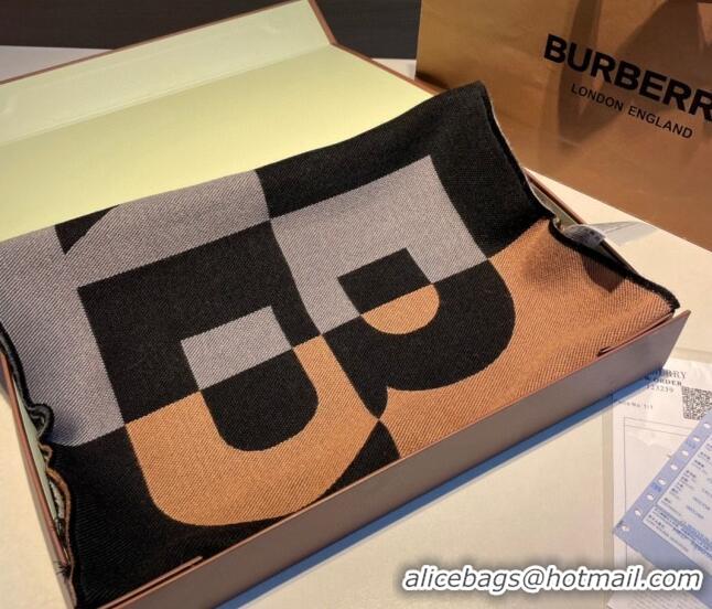 Low Price Burberry Long Scarf 33x188cm BR082201 Brown 2023