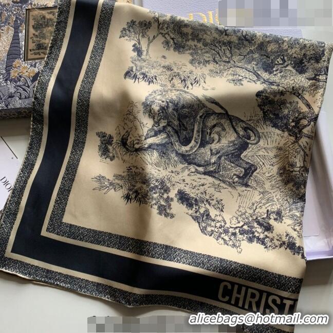 Inexpensive Dior Reverse Silk Square Scarf 90x90cm 0915 Brown 2022