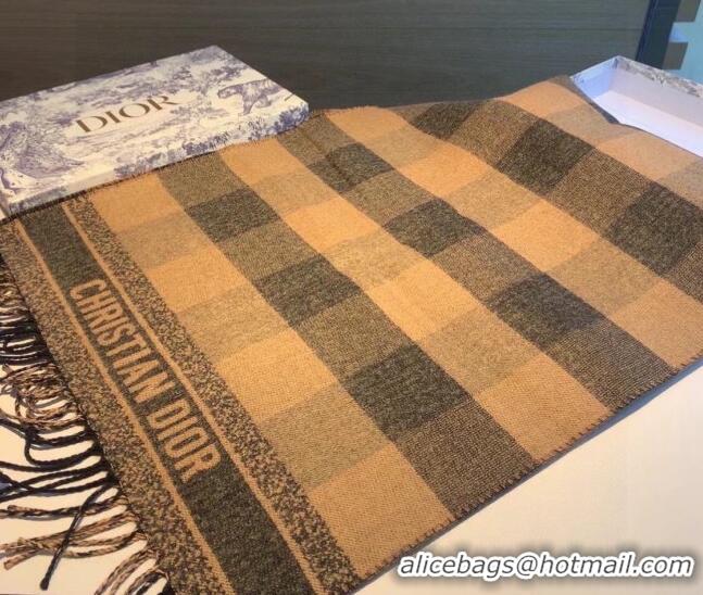 Inexpensive Dior Check Cashmere Long Scarf CD1849 Brown 2022