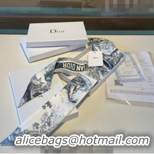 Trendy Design Dior Toile de Jouy Silk Bandeau Scarf 0308 Blue 2023