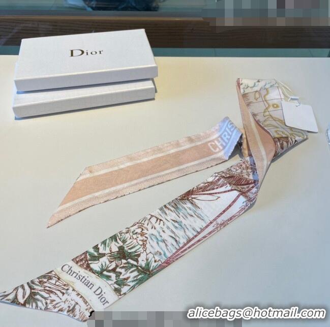 Buy Inexpensive Dior Silk Bandeau Scarf 6x100cm 0311 Pink 2023