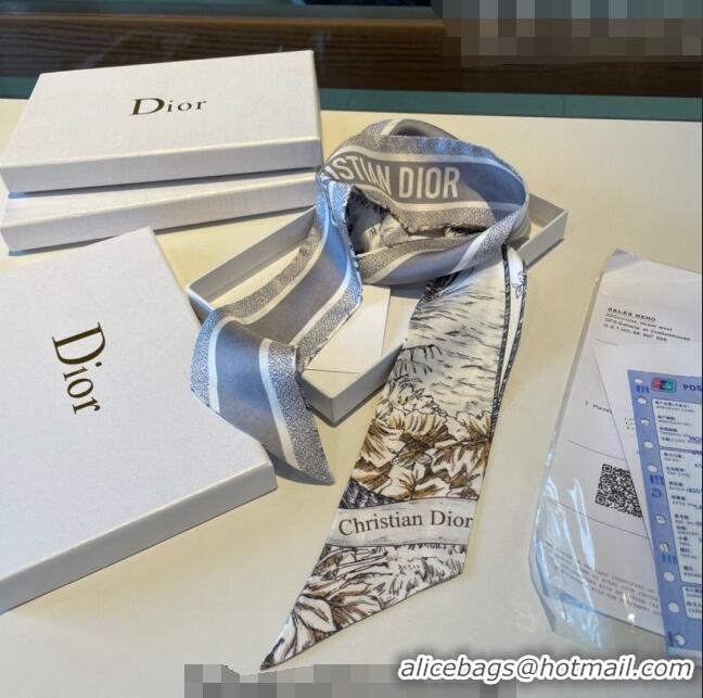 Popular Style Dior Silk Bandeau Scarf 6x100cm 0311 Grey 2023