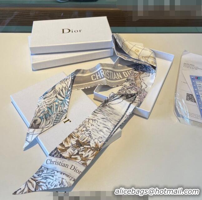 Popular Style Dior Silk Bandeau Scarf 6x100cm 0311 Grey 2023