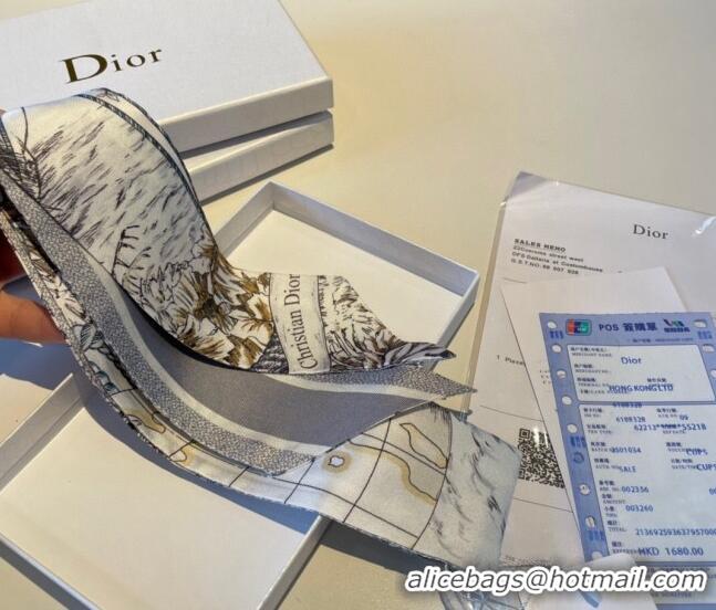 Popular Style Dior Silk Bandeau Scarf 6x100cm 0311 Grey 2023