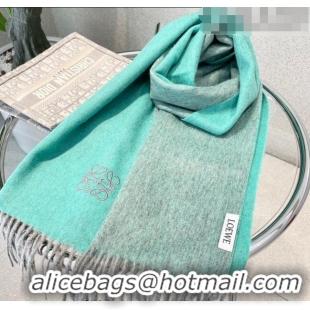 Hot Sell Cheap Loewe Cashmere Long Scarf 32x180cm 1008 Green 2022