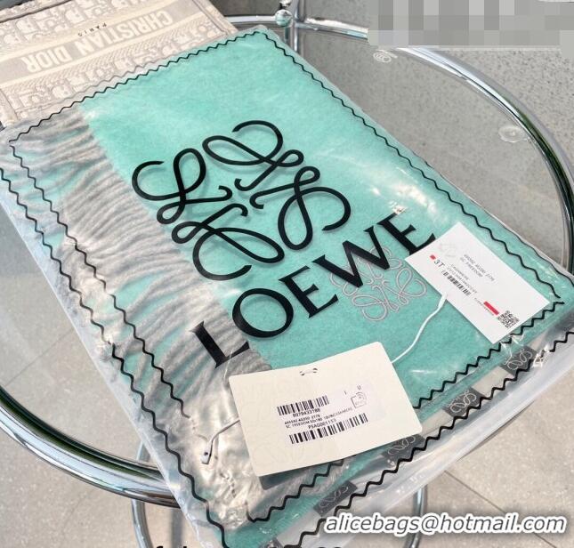 Hot Sell Cheap Loewe Cashmere Long Scarf 32x180cm 1008 Green 2022