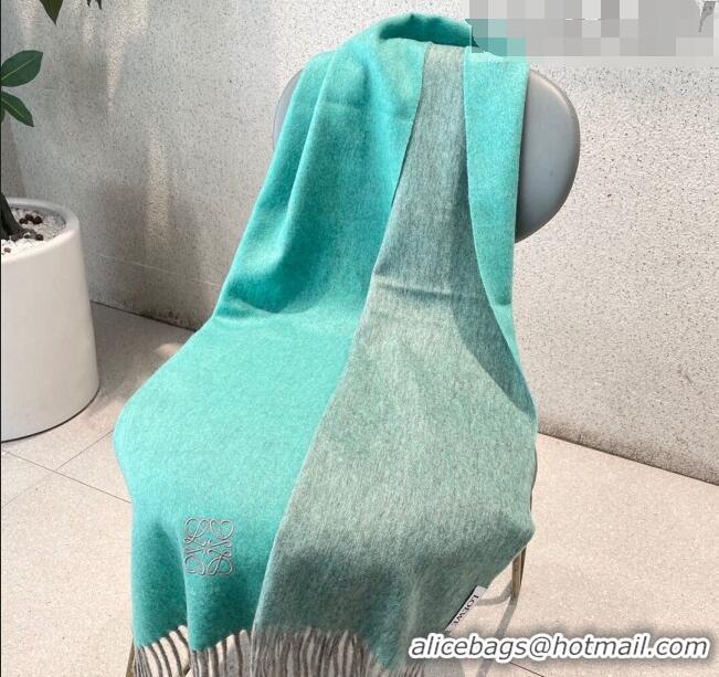 Hot Sell Cheap Loewe Cashmere Long Scarf 32x180cm 1008 Green 2022