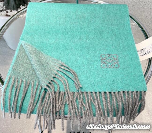 Hot Sell Cheap Loewe Cashmere Long Scarf 32x180cm 1008 Green 2022