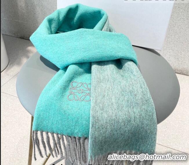 Hot Sell Cheap Loewe Cashmere Long Scarf 32x180cm 1008 Green 2022