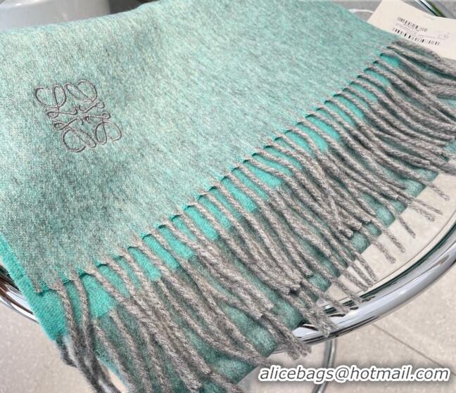 Hot Sell Cheap Loewe Cashmere Long Scarf 32x180cm 1008 Green 2022