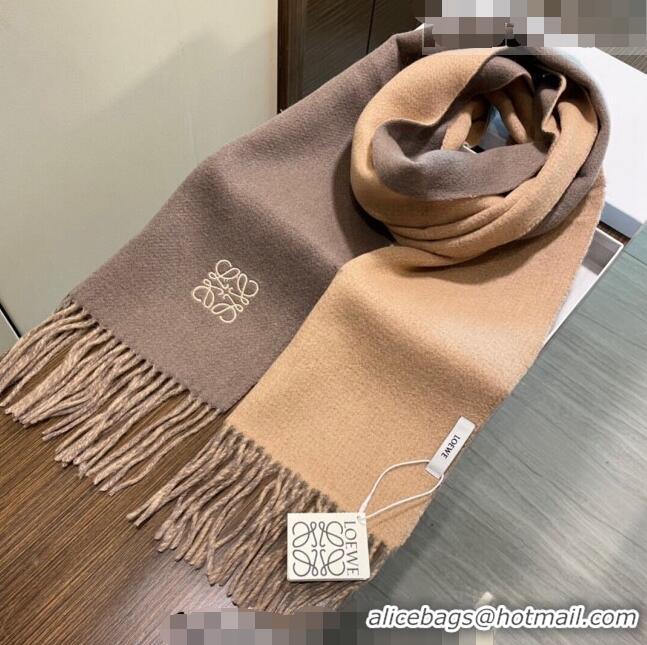 Unique Grade Loewe Cashmere Long Scarf 32x180cm 1207 Brown 2022