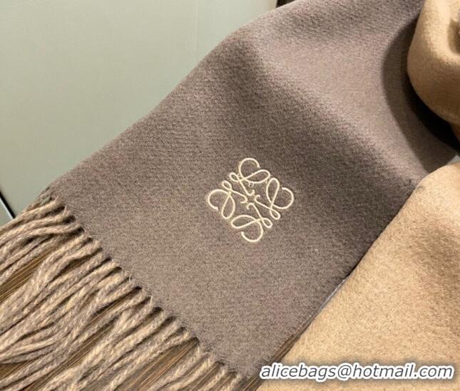 Unique Grade Loewe Cashmere Long Scarf 32x180cm 1207 Brown 2022