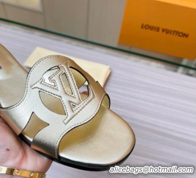 Sumptuous Louis Vuitton LV Isola Leather Flat Slide Sandals 608005 Gold