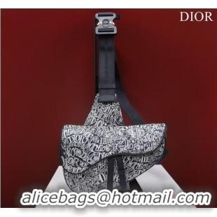 Good Product Dior Essentials SADDLE BAG Grained Calfskin 1ADPO093D WHITE