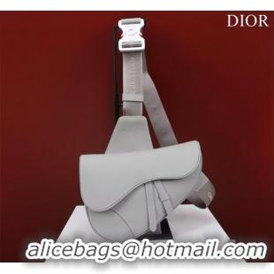 Promotional Dior Essentials SADDLE BAG Grained Calfskin 1ADPO093F GRAY