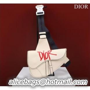 Famous Brand Dior Essentials SADDLE BAG Grained Calfskin 1ADPO093G WHITE