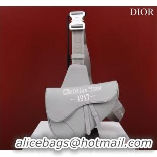 Traditional Specials Dior Essentials SADDLE BAG Grained Calfskin 1ADPO093f-1 gray