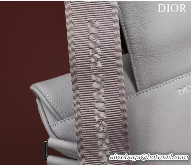 Traditional Specials Dior Essentials SADDLE BAG Grained Calfskin 1ADPO093f-1 gray