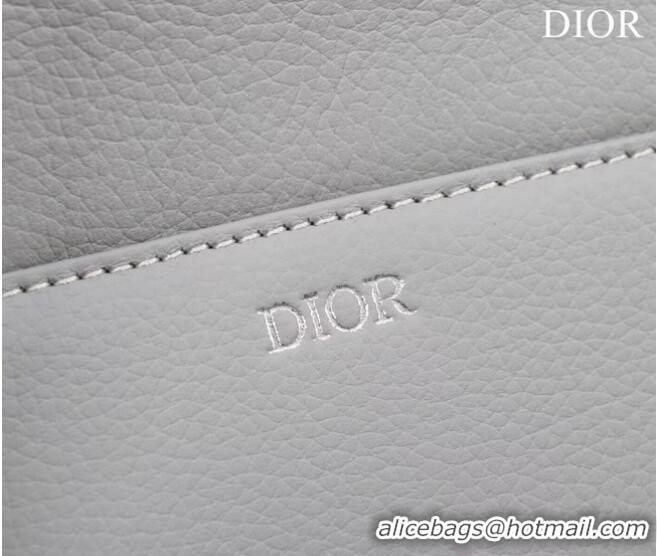 Traditional Specials Dior Essentials SADDLE BAG Grained Calfskin 1ADPO093f-1 gray