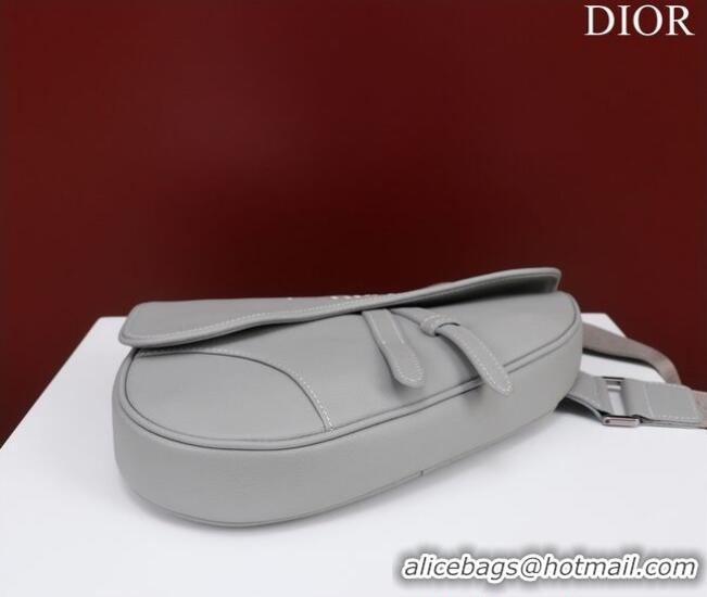 Traditional Specials Dior Essentials SADDLE BAG Grained Calfskin 1ADPO093f-1 gray