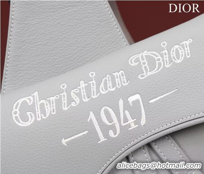 Traditional Specials Dior Essentials SADDLE BAG Grained Calfskin 1ADPO093f-1 gray