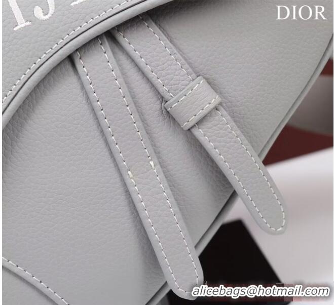 Traditional Specials Dior Essentials SADDLE BAG Grained Calfskin 1ADPO093f-1 gray